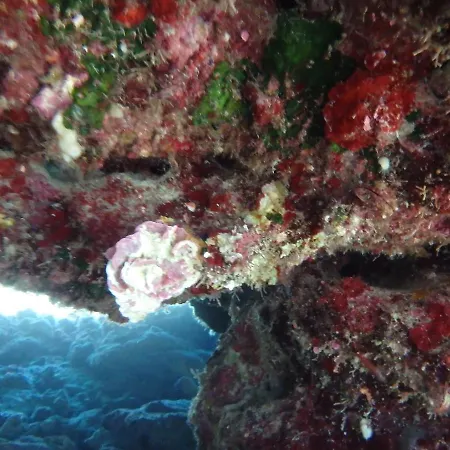 Apartament Bay Penthouse 2