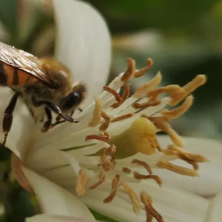 Apartment Bay Penthouse 2