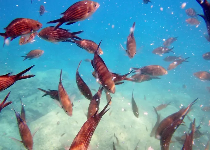 Bay Penthouse 2 Apartament Protaras