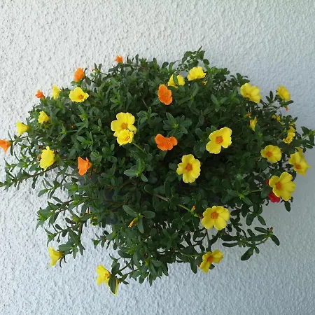 Bay Penthouse 2 Appartement *