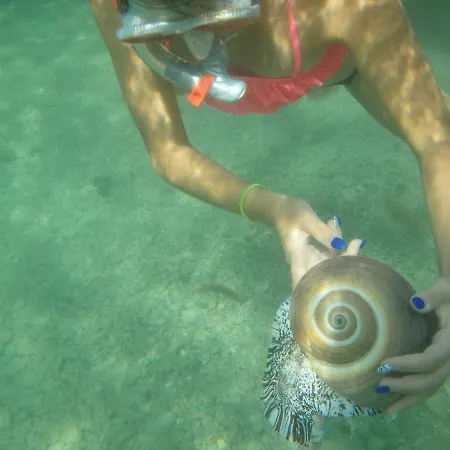 Bay Penthouse 2 Apartamento