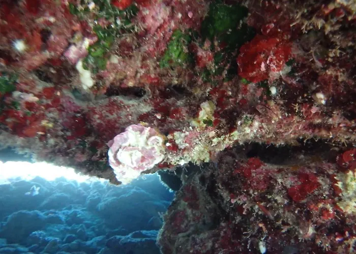 アパート Bay Penthouse 2