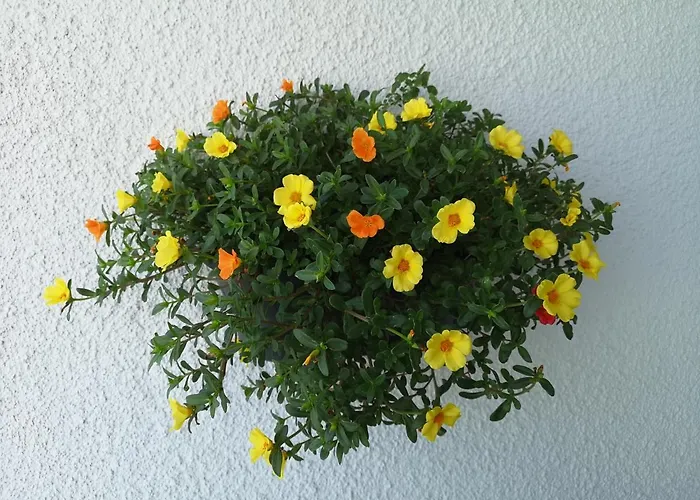 Bay Penthouse 2 Apartamento *