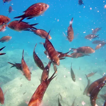 Bay Penthouse 2 Apartment Protaras